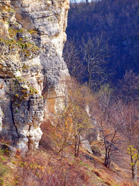 kopchenyj-kamen-v-aprele_2013_23 kopchenyj-kamen-v-aprele_2013_23