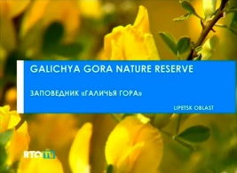 2011-zapovednik-galichja-gora-01 2011-zapovednik-galichja-gora-01