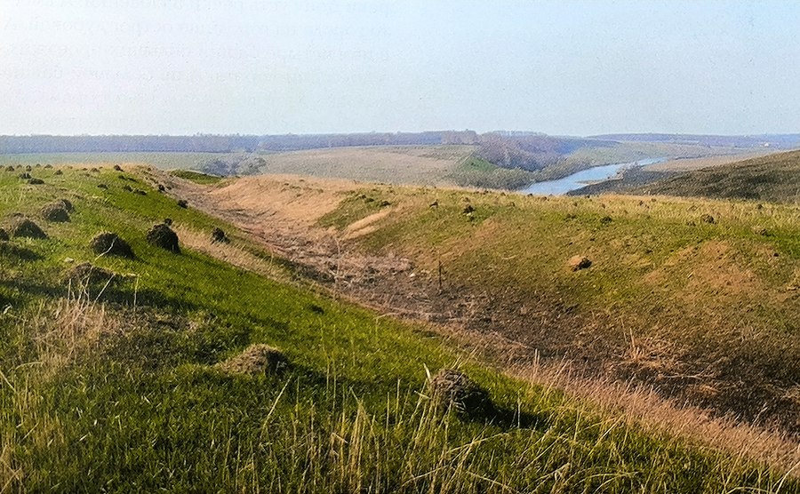 Валы и рвы Стрешневского городища - Старого Донкова. Фото 2010 г.