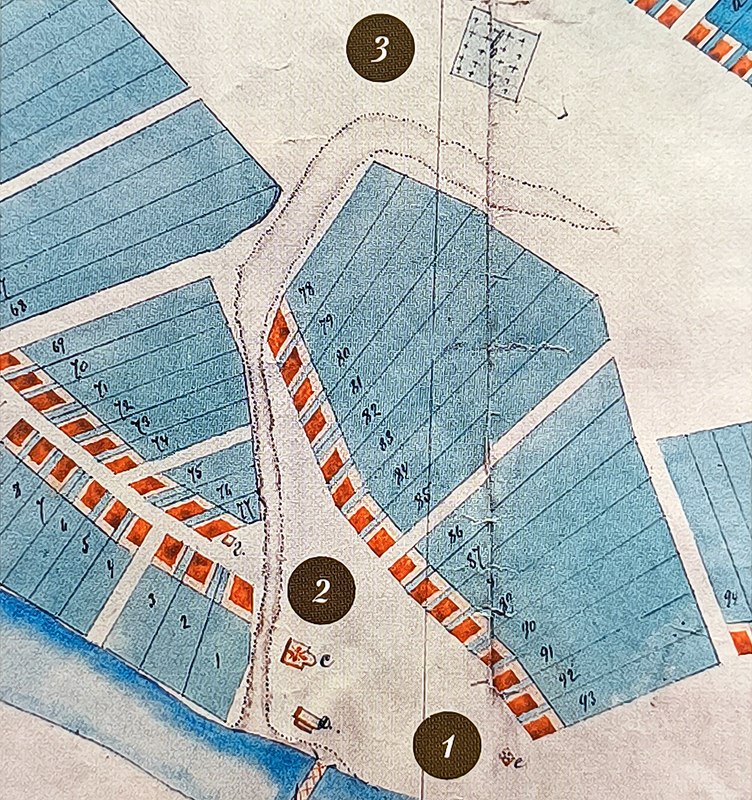 Фрагмент плана Богословской слободы Данкова, 1876 год