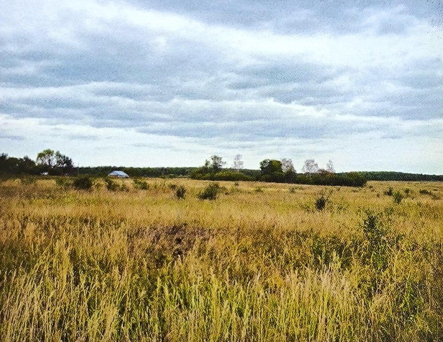 Место в селе Гагарине, где стоял Богословский храм