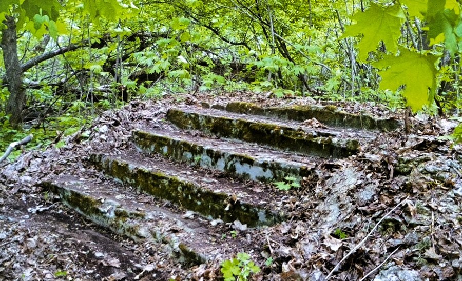 Сохранившиеся ступени северного входа в храм